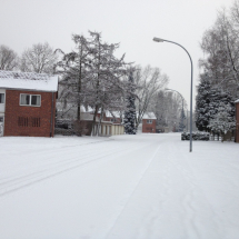 Matthew_Le_Clog_Geuijen_2019_02_19_002